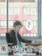 浪姐